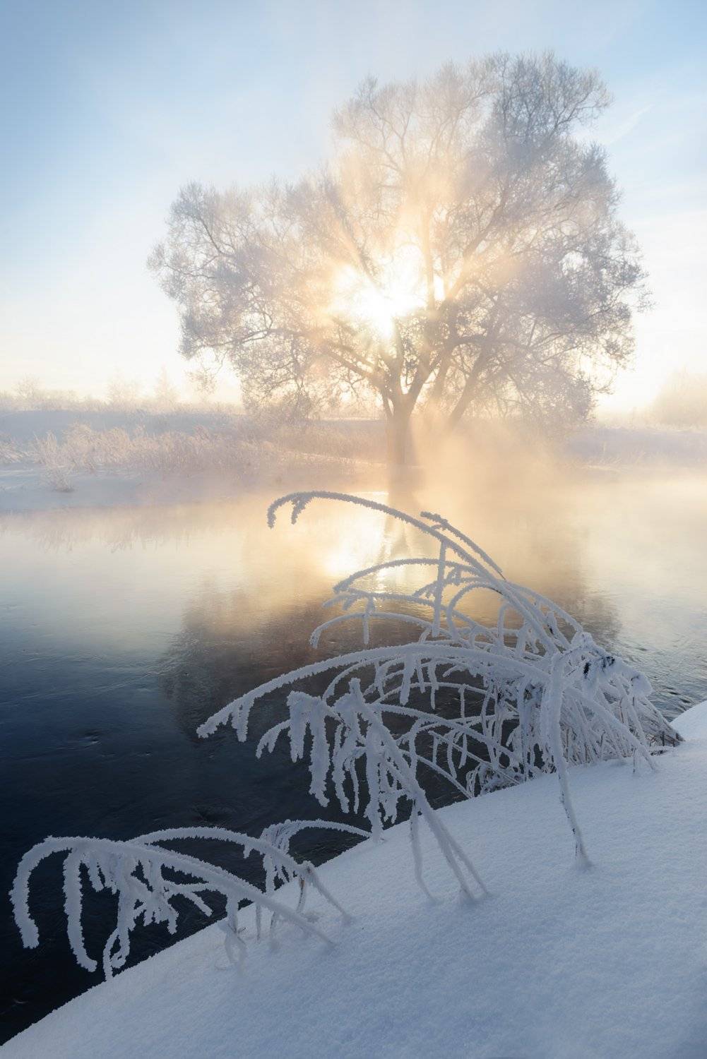 , Евгений Цап