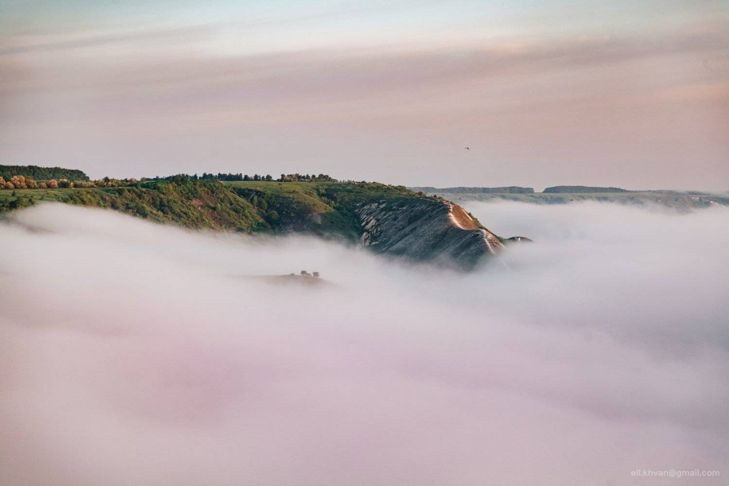 , Элина Хван