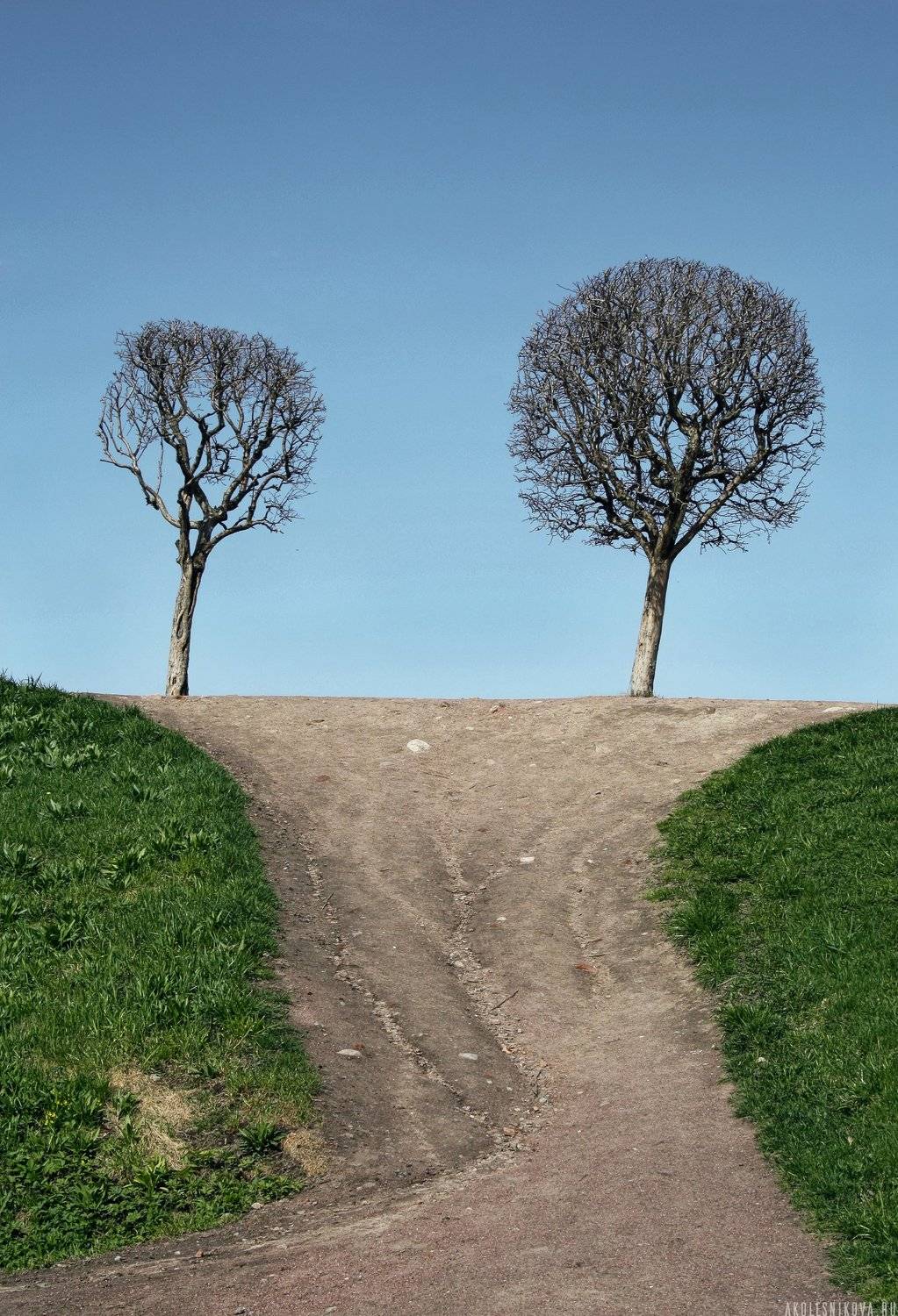 набережная, россия, санкт-петербург, пейзаж, путешествие, travel, nature, russia, Анастасия Колесникова