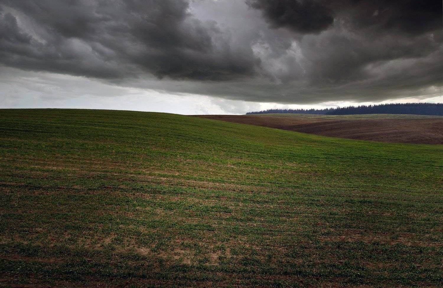 field spring gomel belarus green, Иванчиков Дмитрий