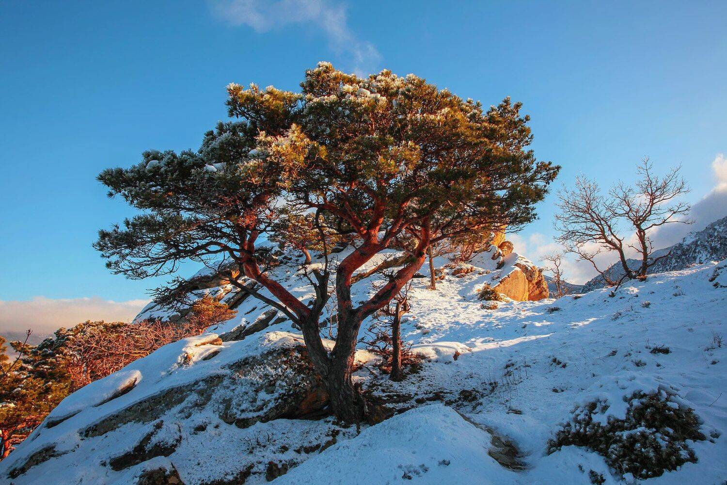 горы,зима,просторы,дагестан, Marat Magov