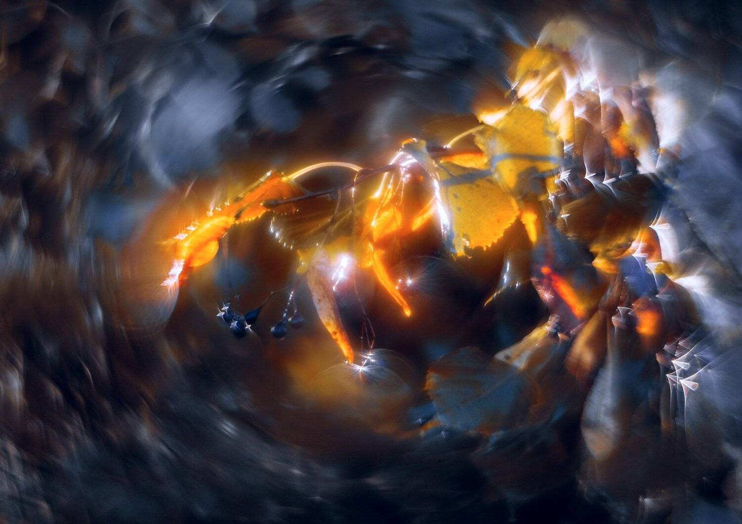 природа,беларусь,осень, Sixten ( Сергей )