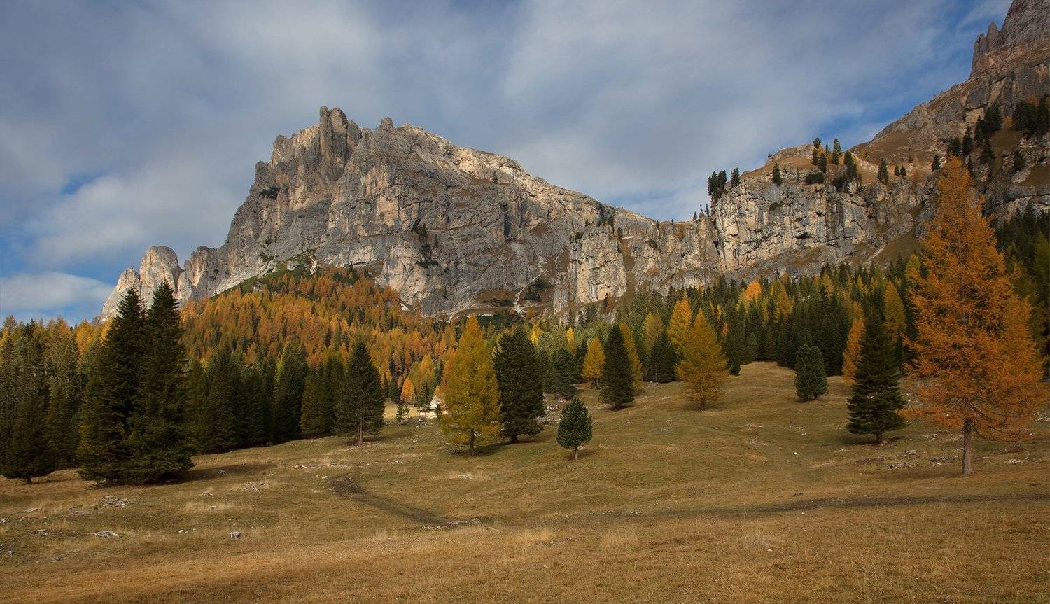 , Игорь Дубровский