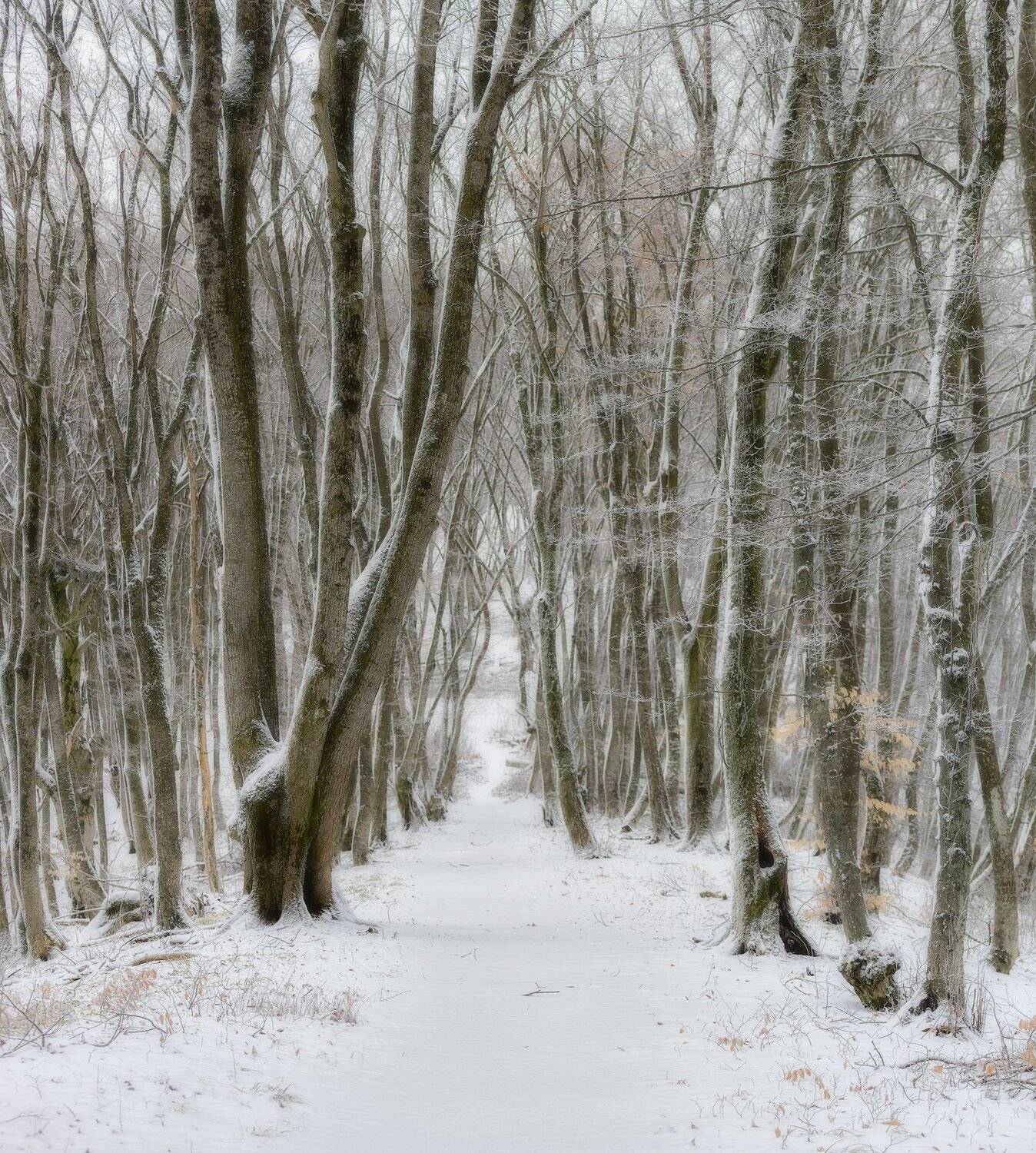 , Шевченко Юрий