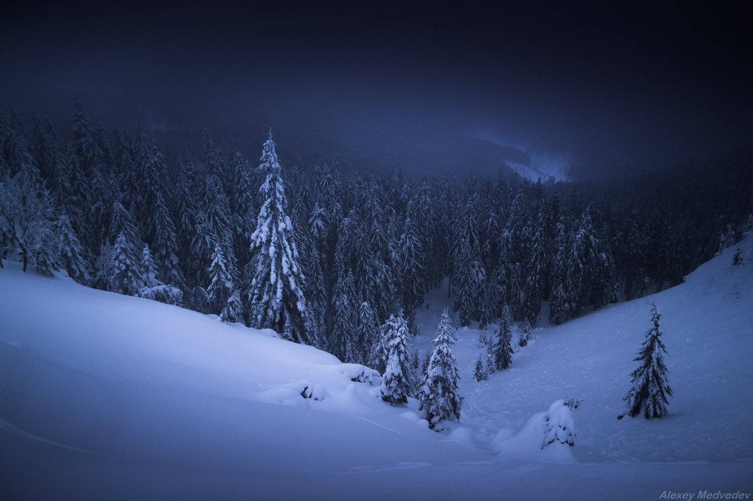 карпаты, украина, зима, горганы, урочище, пекло, горгани, carpathians, ukraine, gorgany, Алексей Медведев