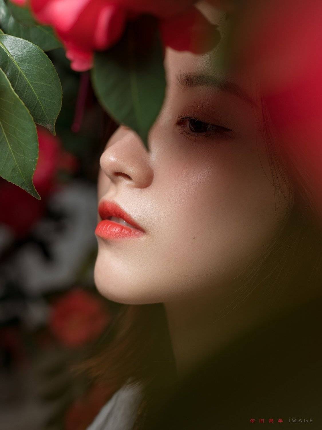 , vijstudio