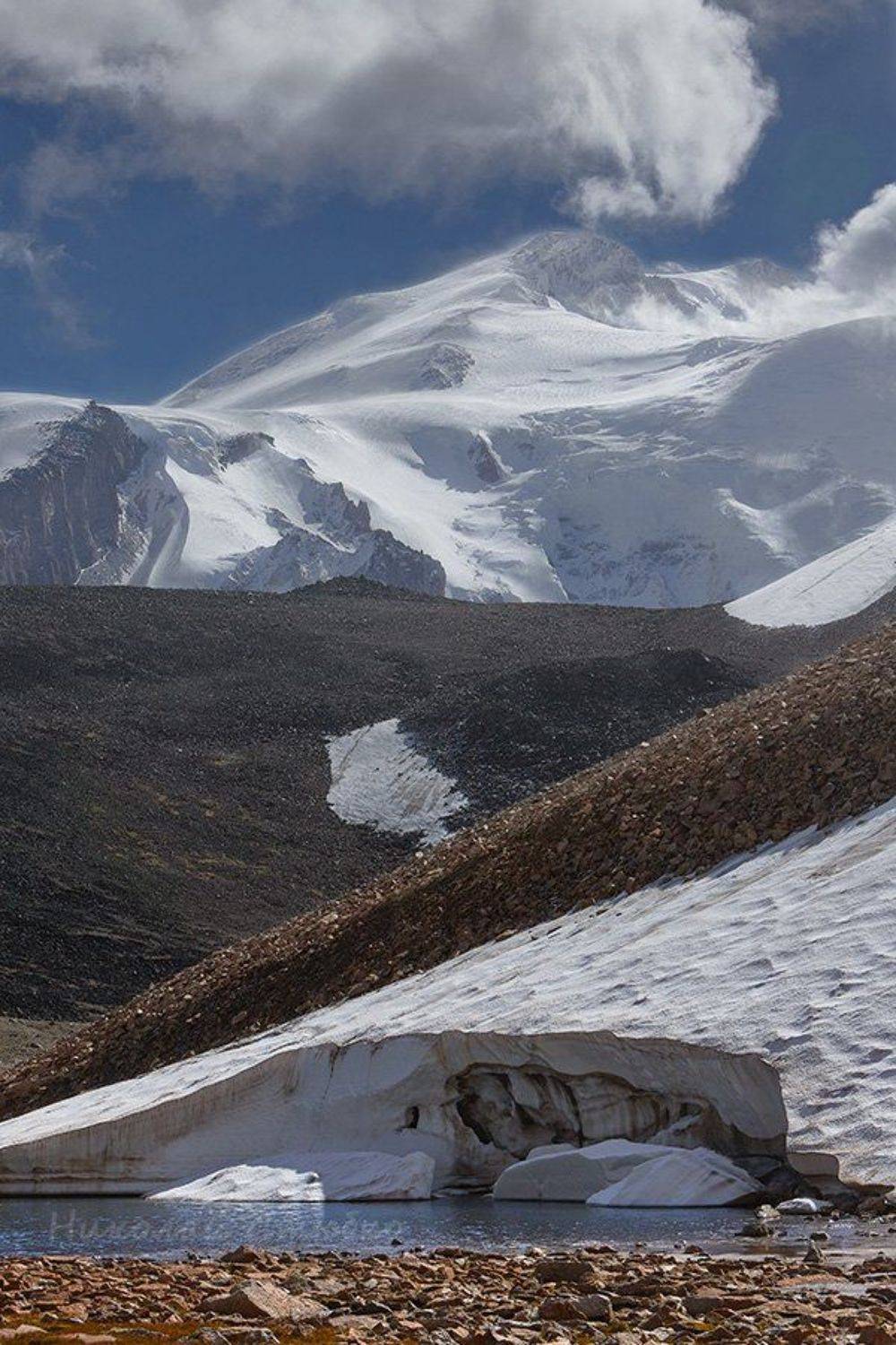 , Николай Стюбко