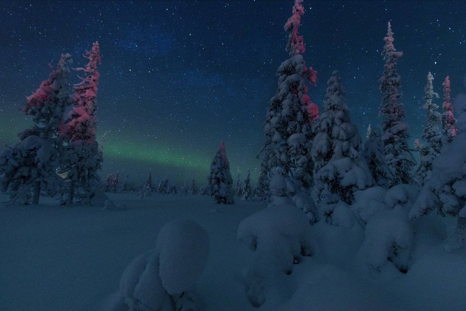 ямал, салехард , сияние ,ямал ,янао, пейзаж, природа ,полярный урал ,аврора, Настя Братка