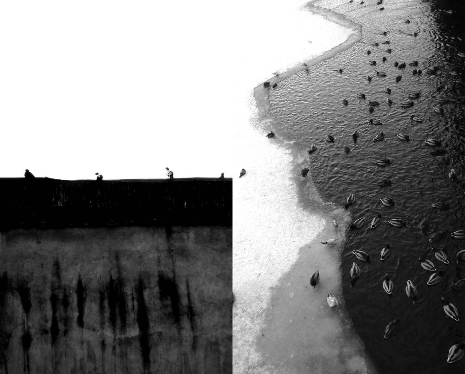 , Антон Лаба