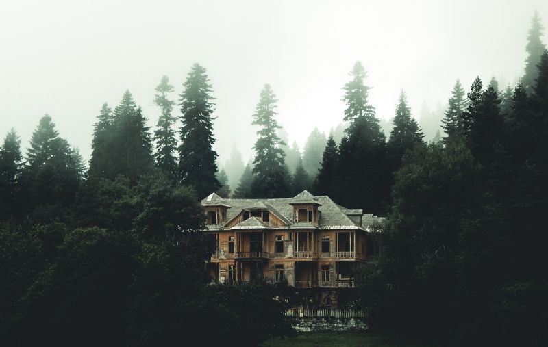 Shovi фото превью