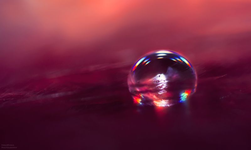 макро, капли, вода, боке, macro, drops, water, bokeh, *** фото превью