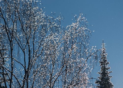 Pro снежное кружево