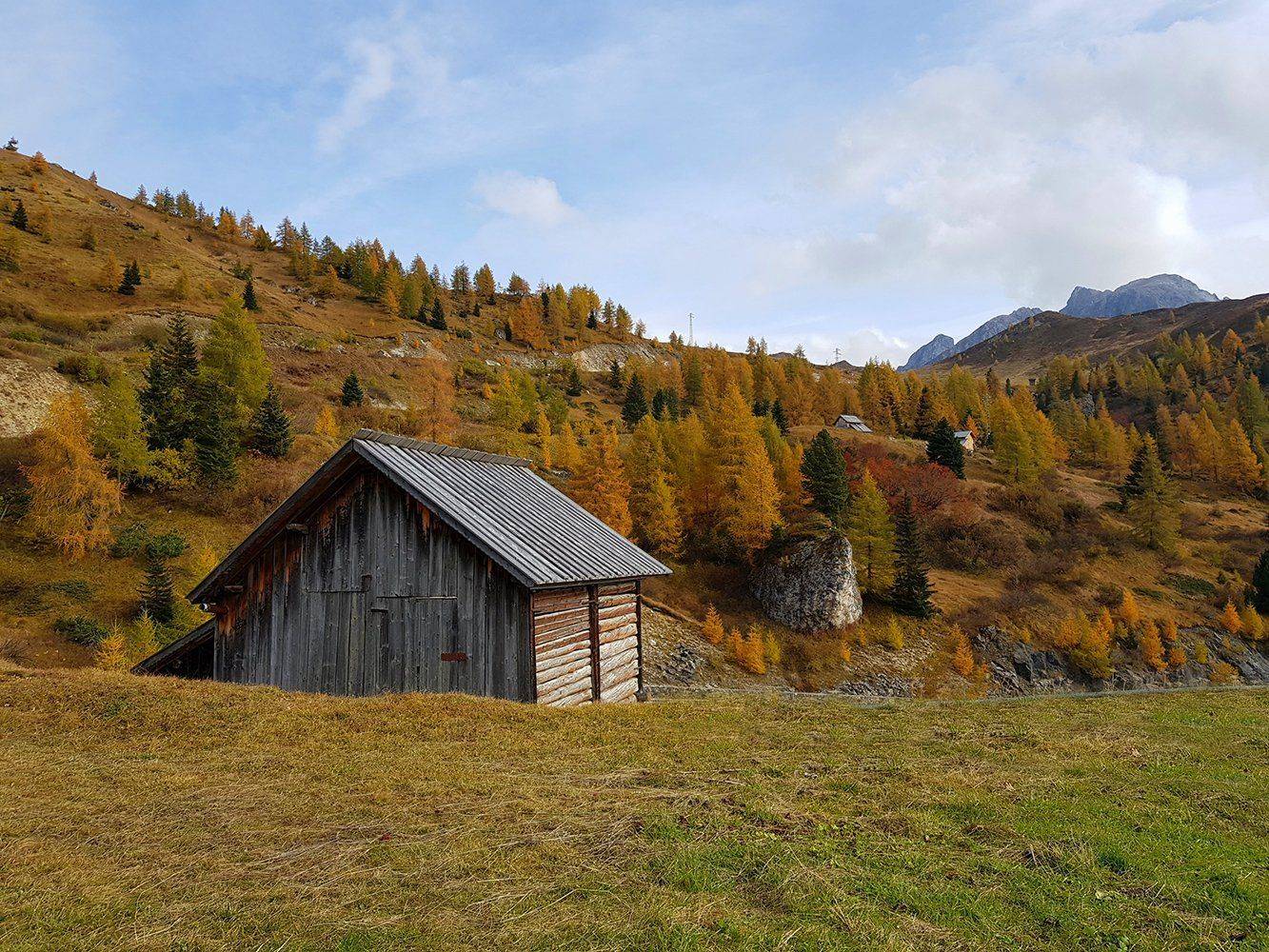 , Игорь Дубровский