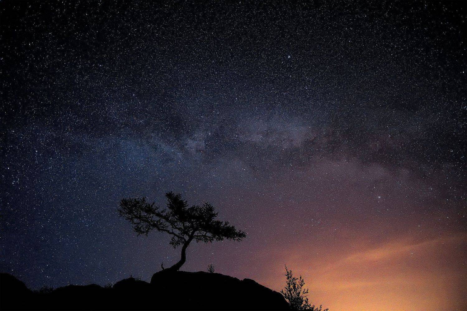 , Леонид Максименко