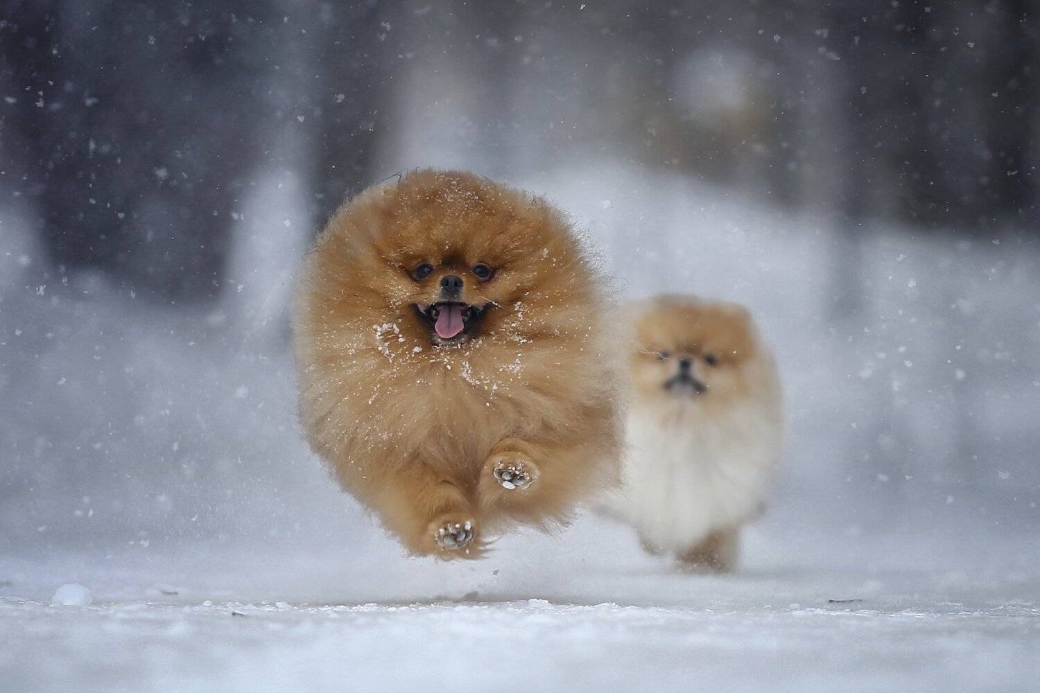 , Андрей Ершов