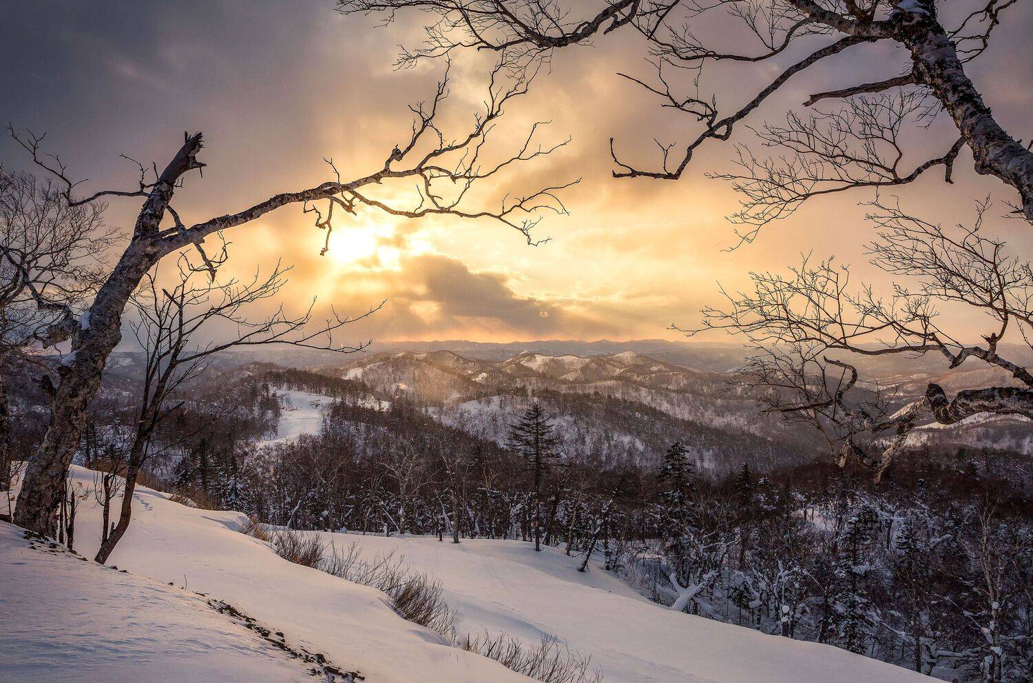 , Артем Удодов
