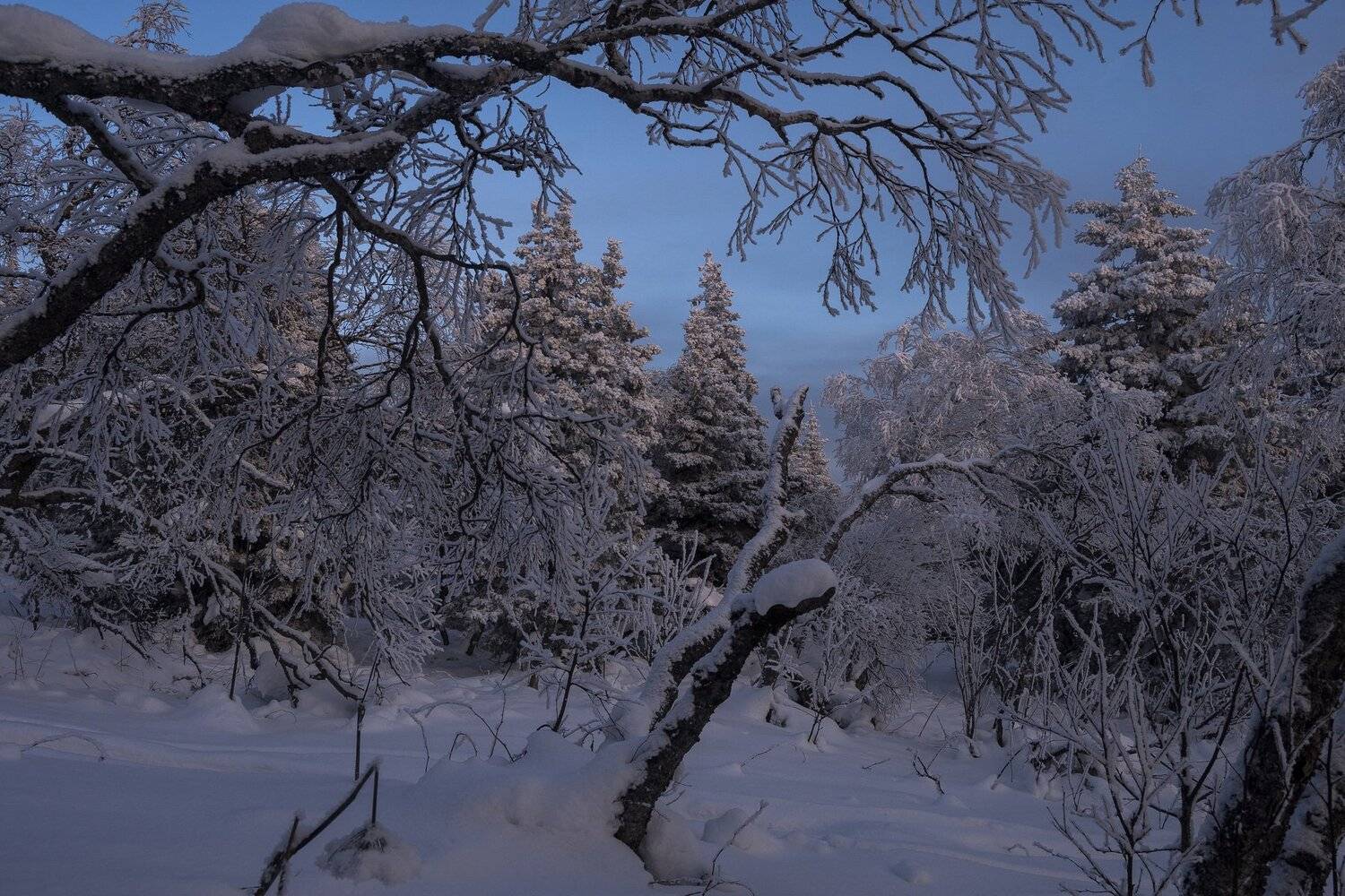 , Андрей Шарапов