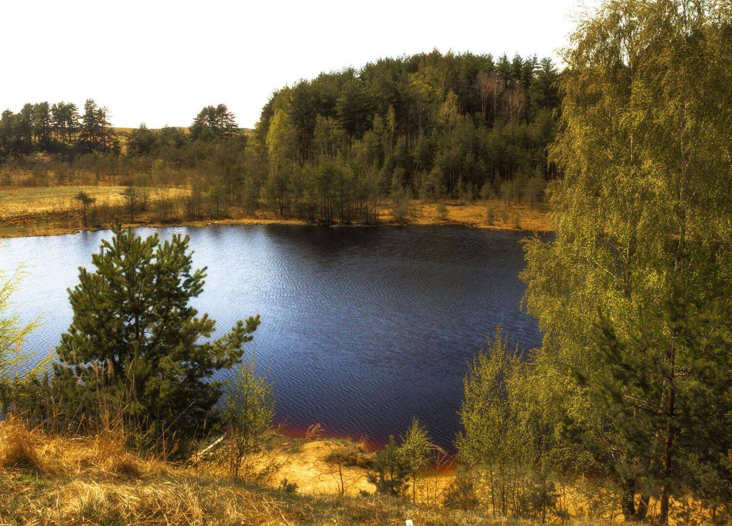 , Алексей Герасимов