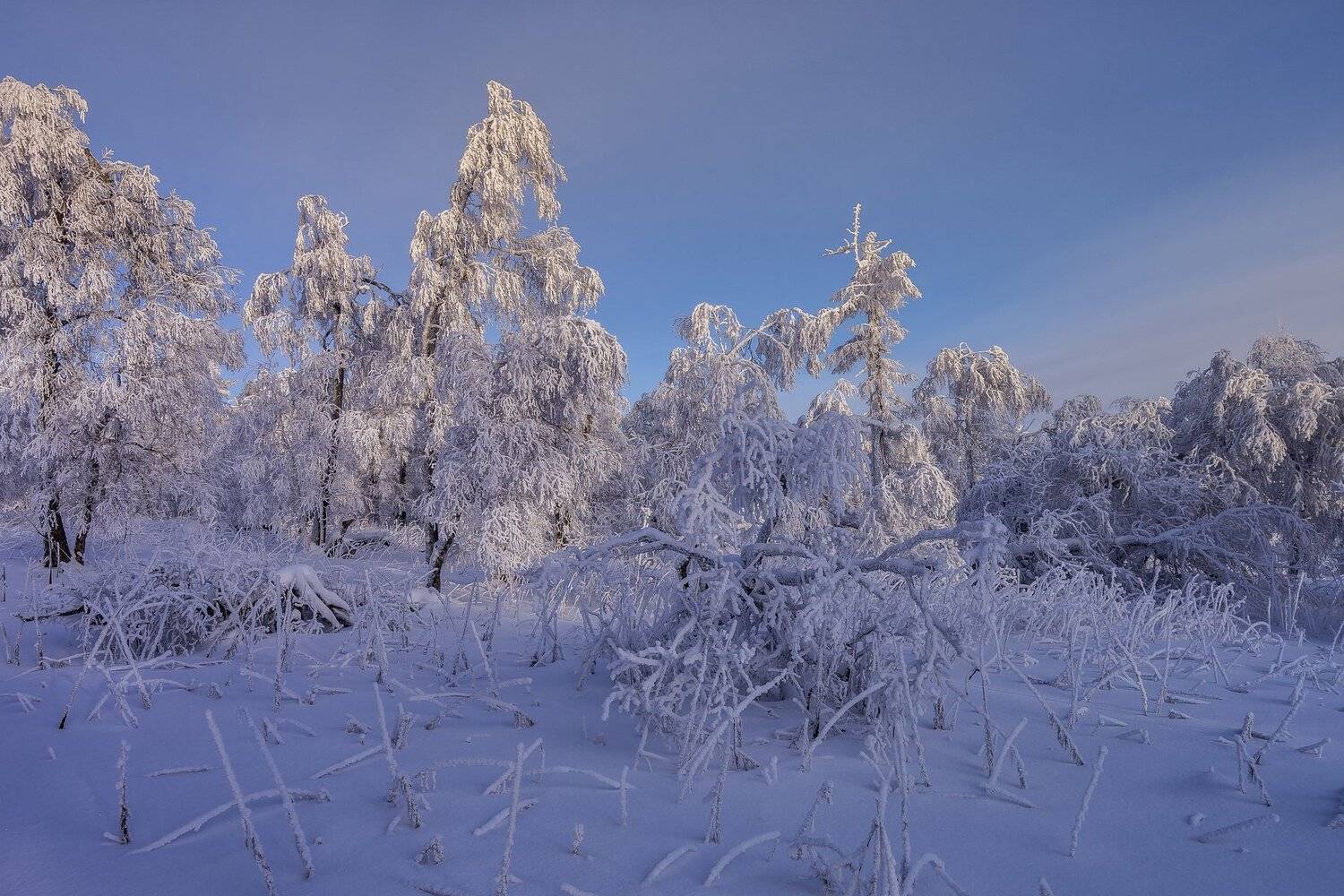 , Андрей Шарапов