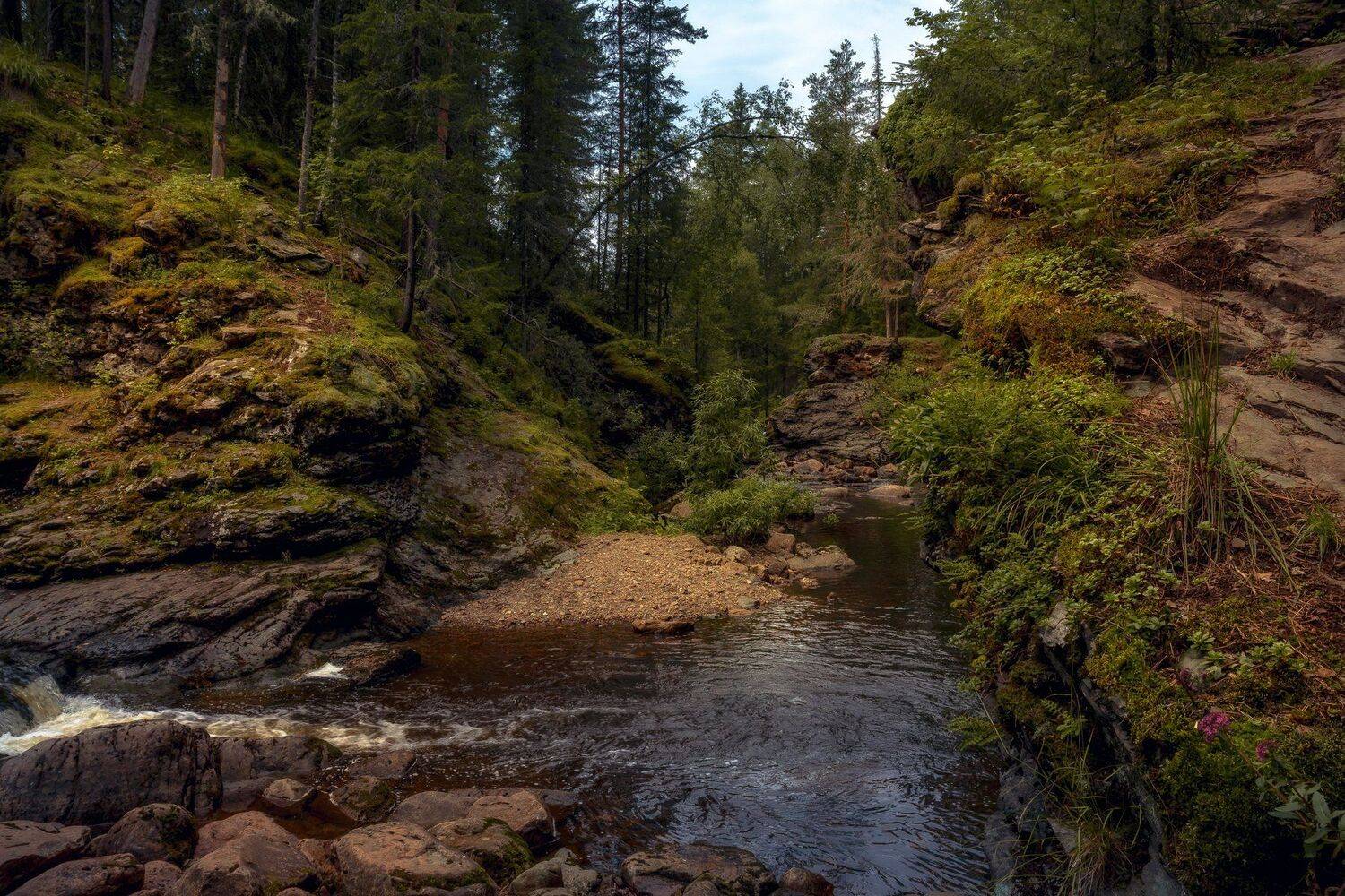 , Андрей Шарапов