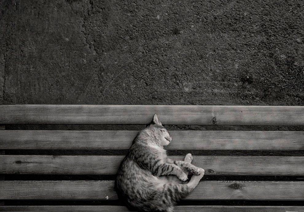 , Павел Сагайдак