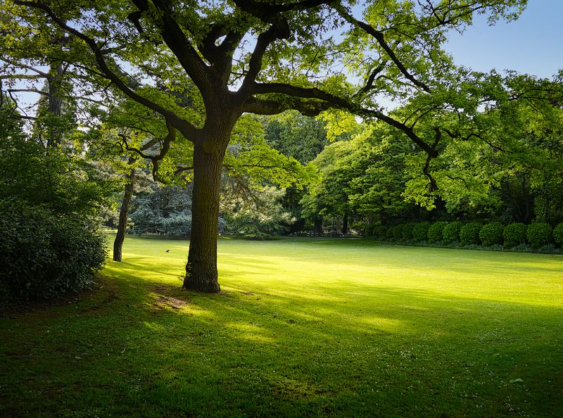 *** фото превью