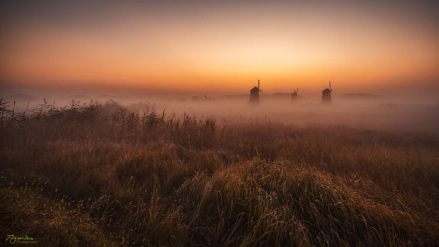 fog light morning sky windmill forest misty color landscape , Seo Tiger