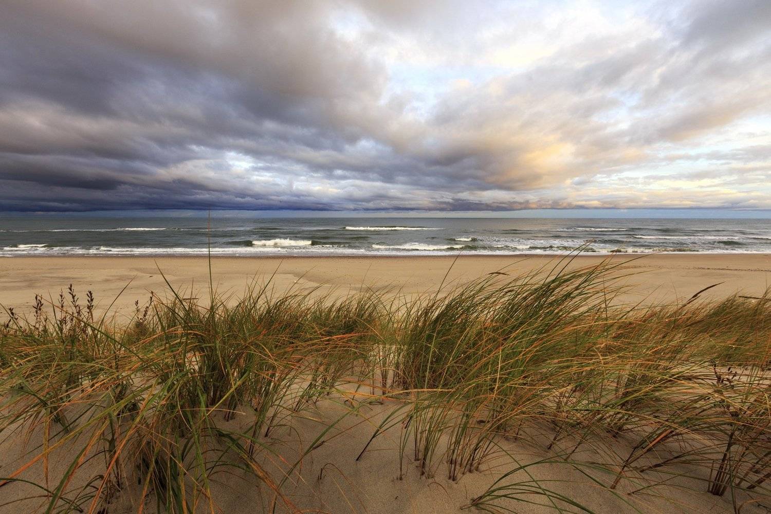 балтика, куршская коса, Татьяна Проценко