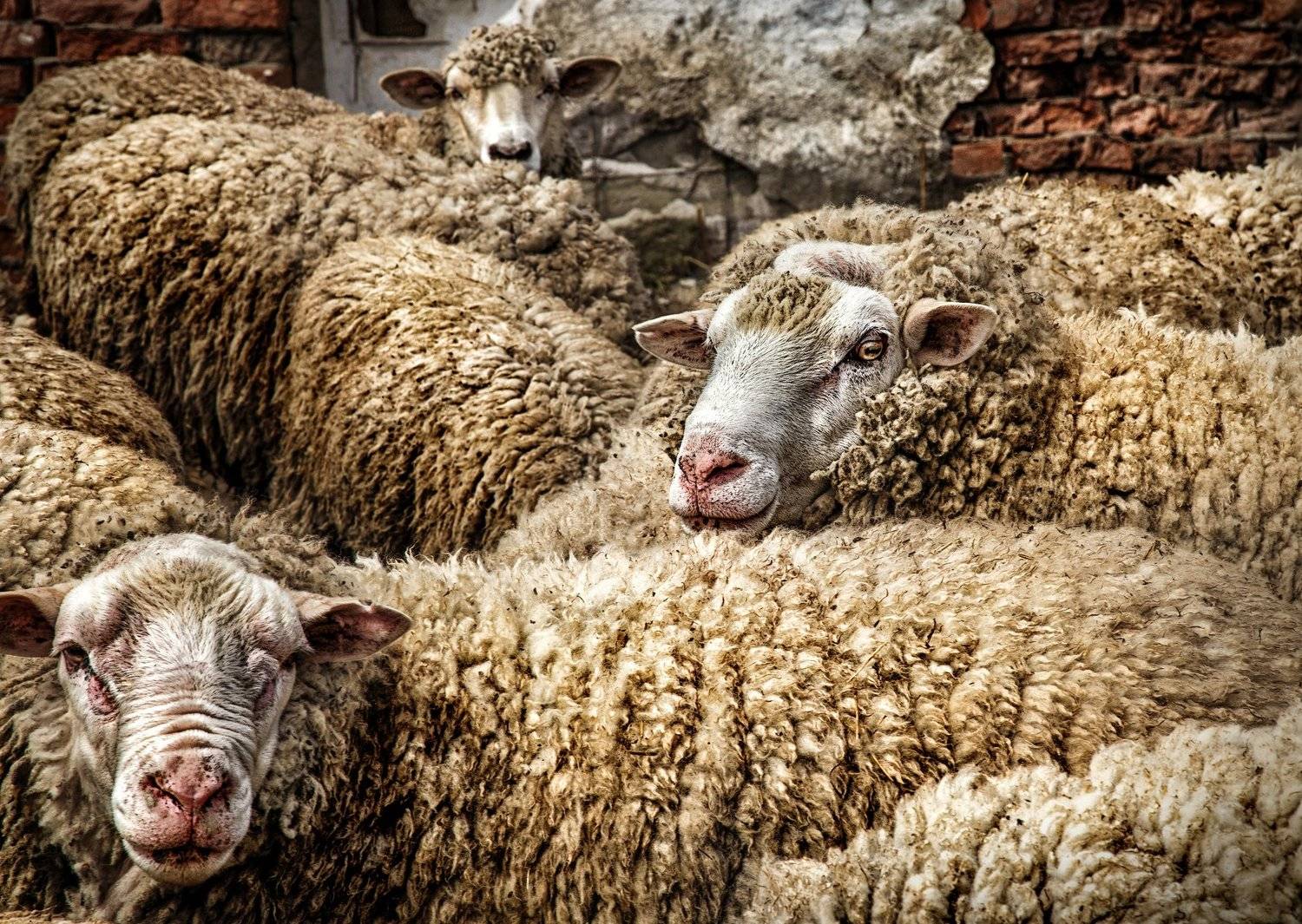 , Геннадий Якутчик