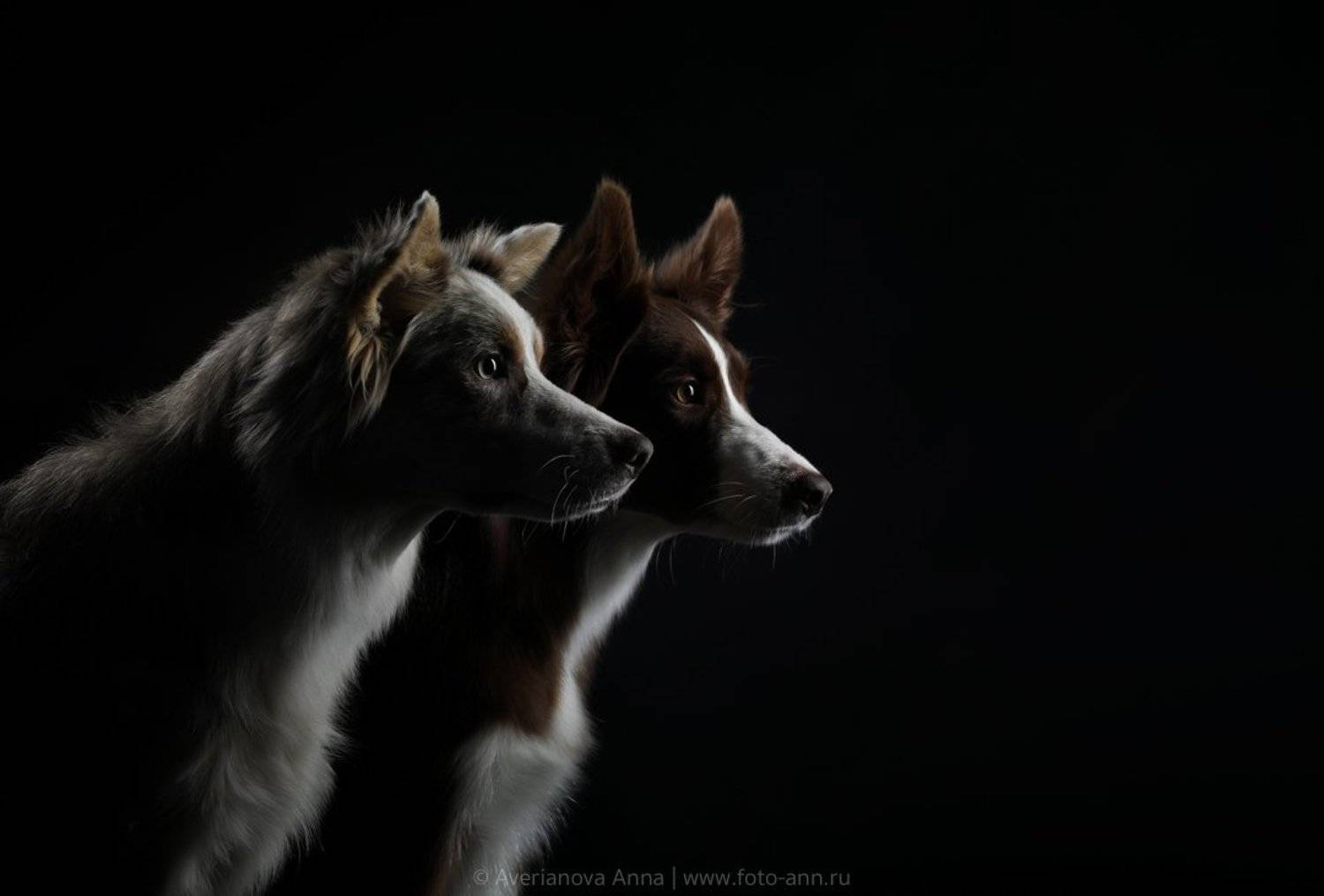 , Анна Аверьянова