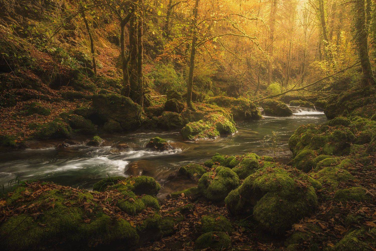 , Бахышев Сафар