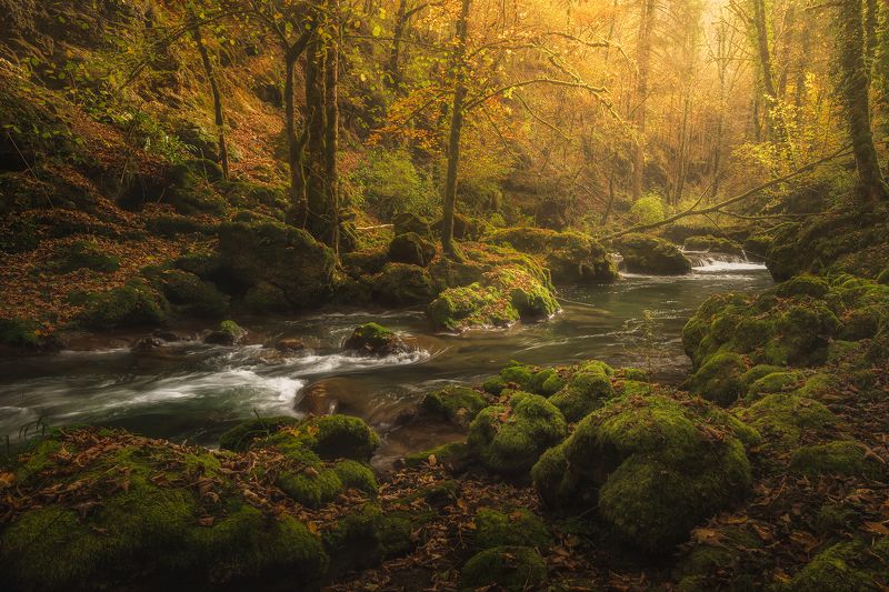 L\'Ain фото превью