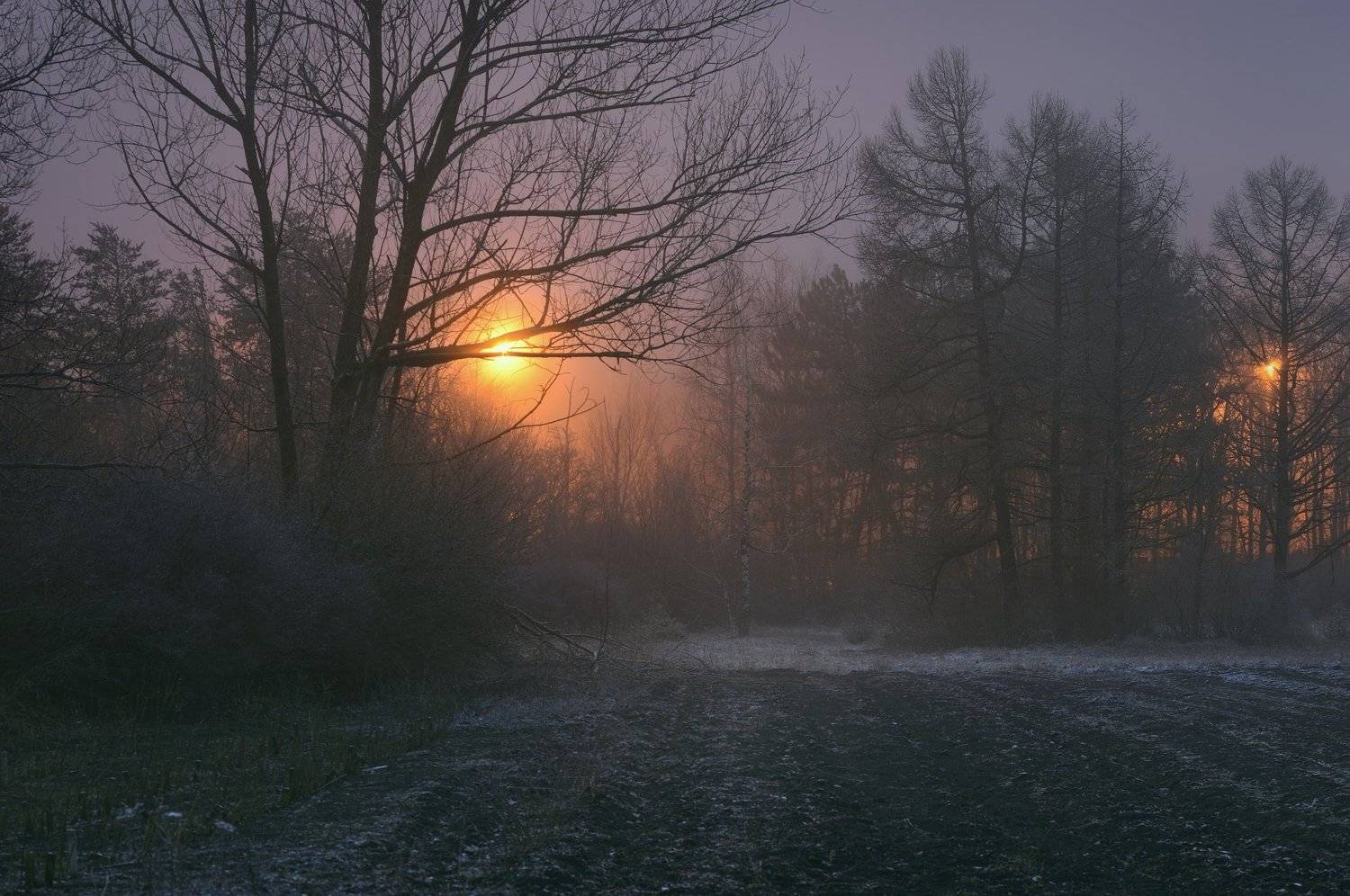 ночь туман зима, Александр Жарников