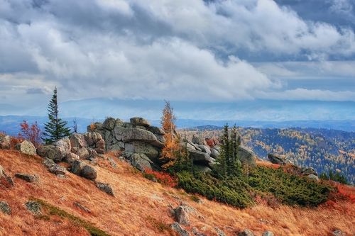 Ивагуми в горах