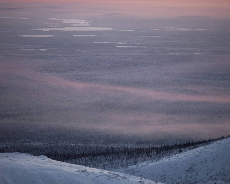 кировск, восход, полярная ночь, хибины, заполярье, зима, ночь, olympus, reflectitur photons, лесотундра, облока, даль Розовая даль лесотундры. фото превью