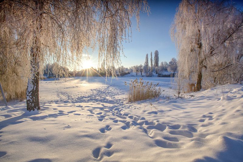 *** фото превью