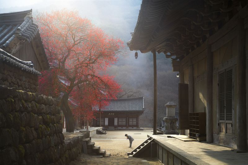 The Fragrance of a Thousand years фото превью