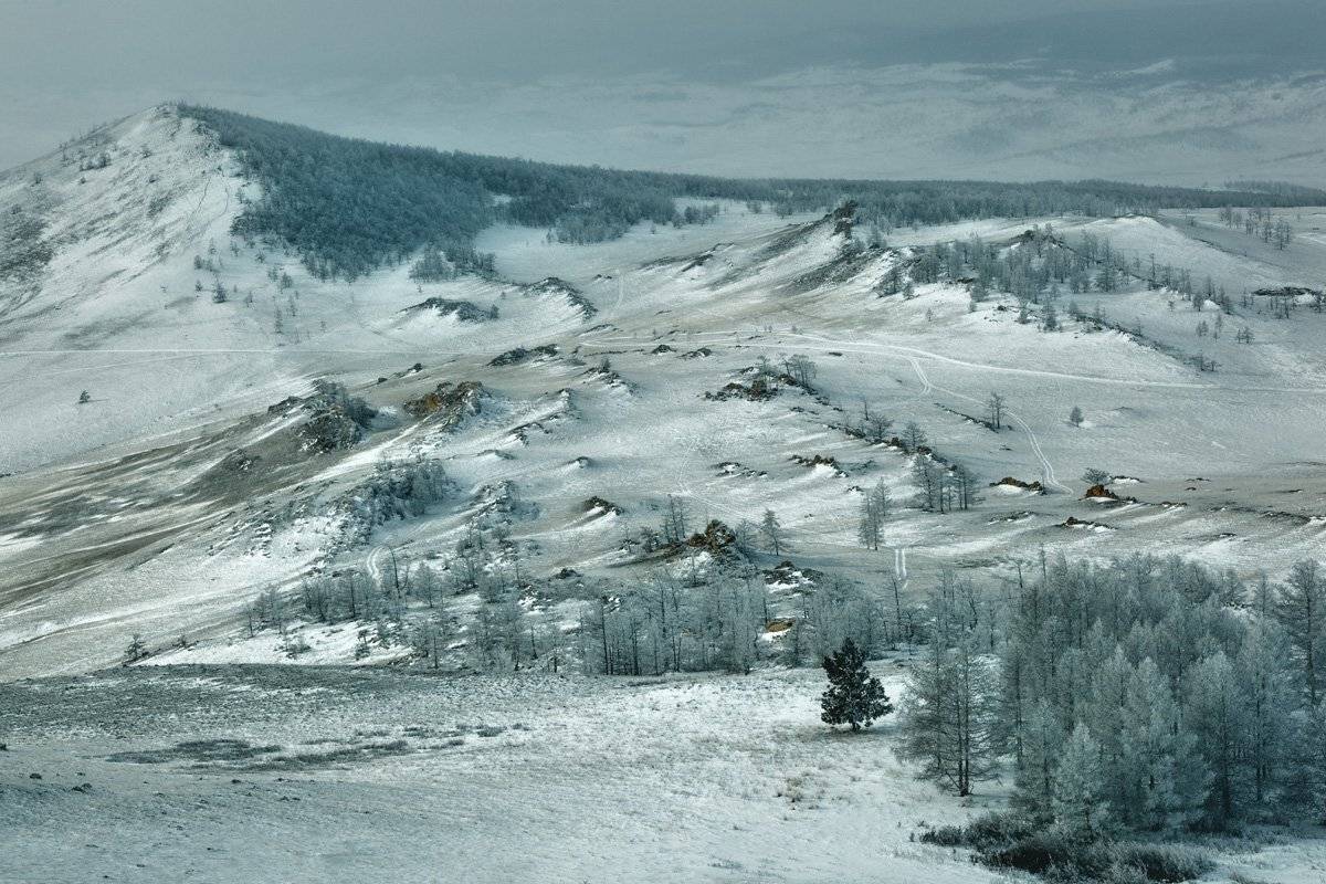 , Сергей Низовцев