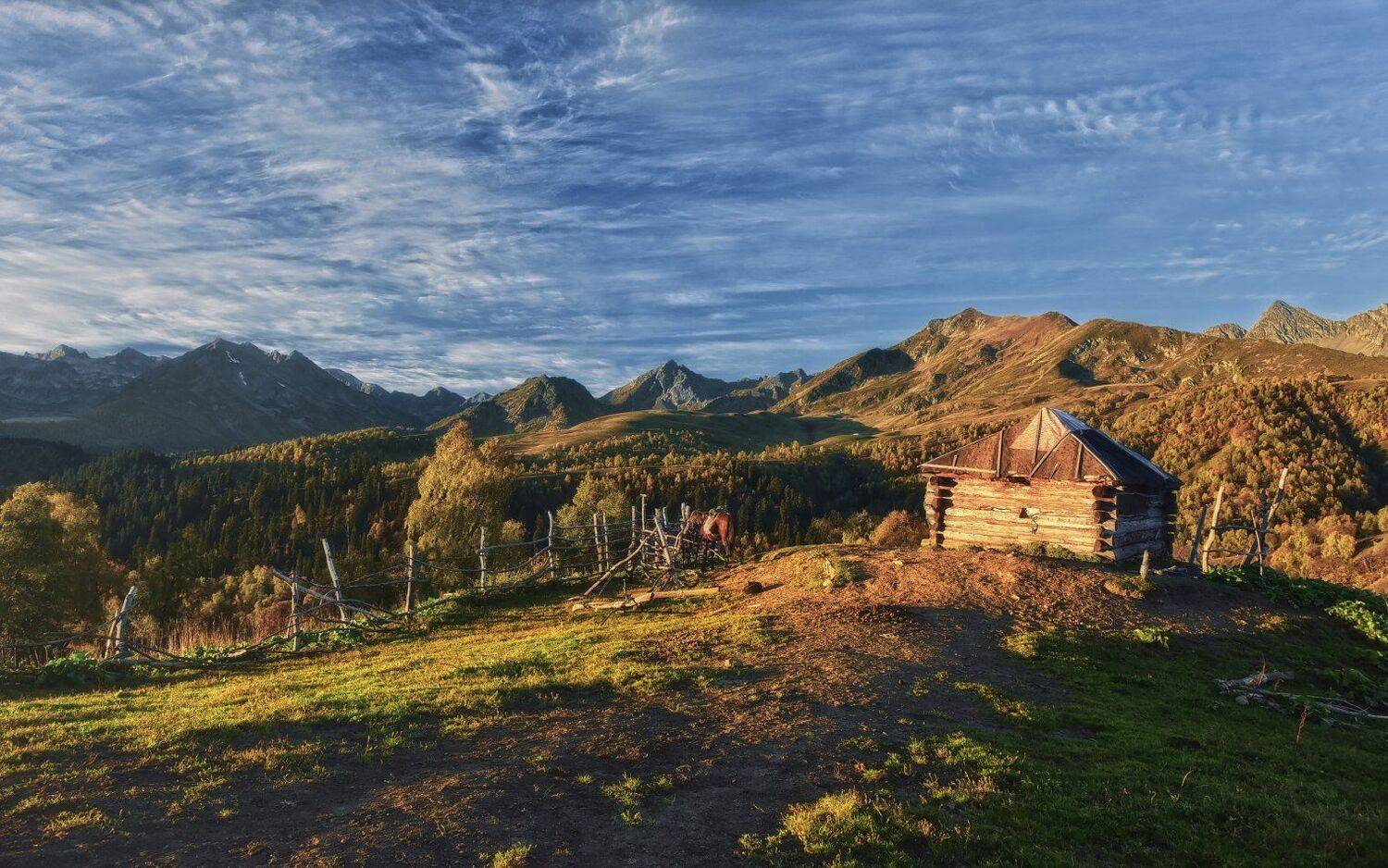 , Александр Круль