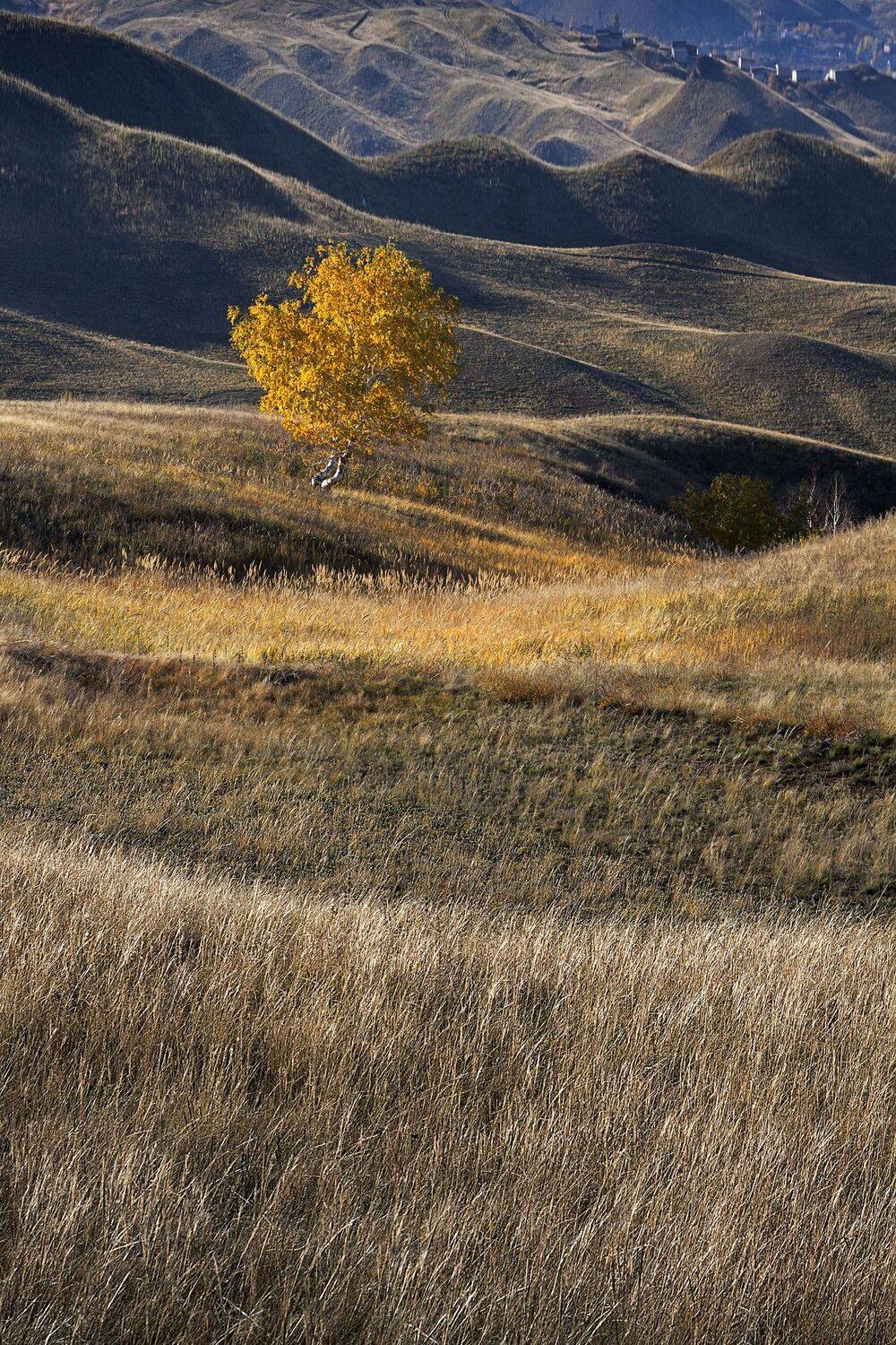 южный, урал, губерля орск, новотроицк, Качурин Алексей