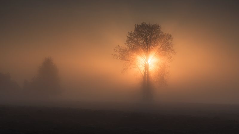 Awakening... фото превью