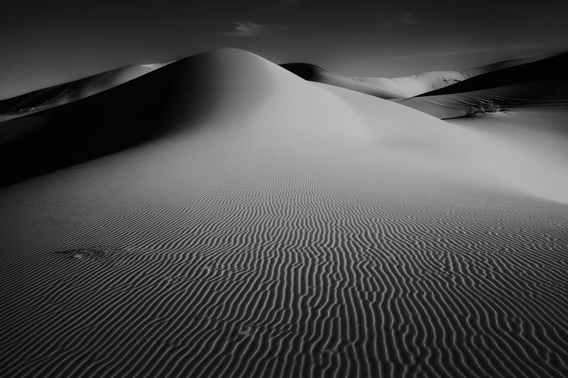 марокко, путешествие, пустыня, репортаж, африка, сахара Монохромная Сахара фото превью