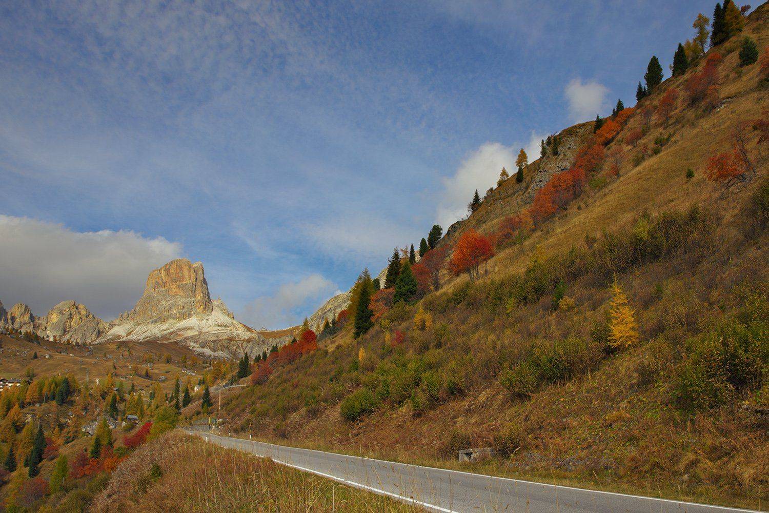 , Игорь Дубровский