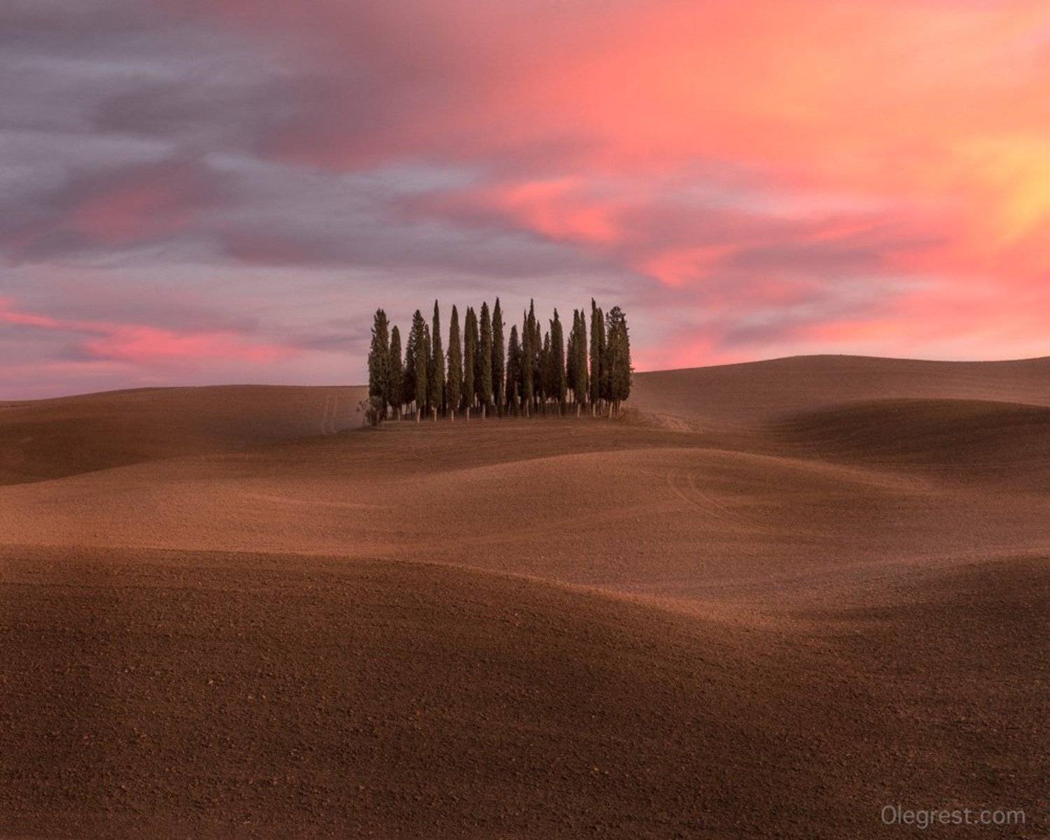 тоскана, италия, кипарисы, деревья, закат, пейзаж, Oleg Rest