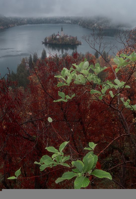 Пасмурным утром... фото превью