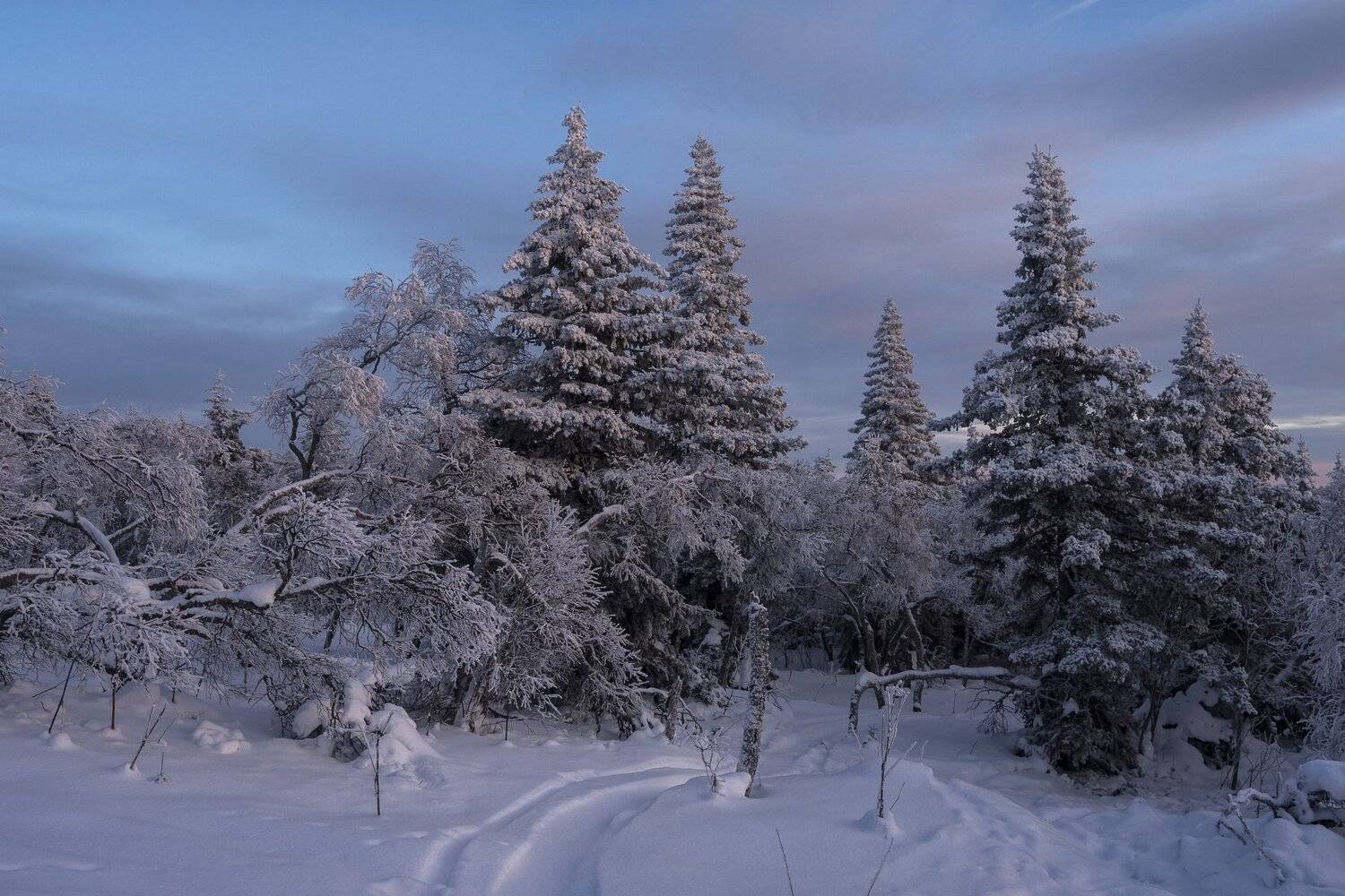 , Андрей Шарапов