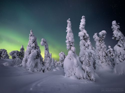 В гостях у сказки