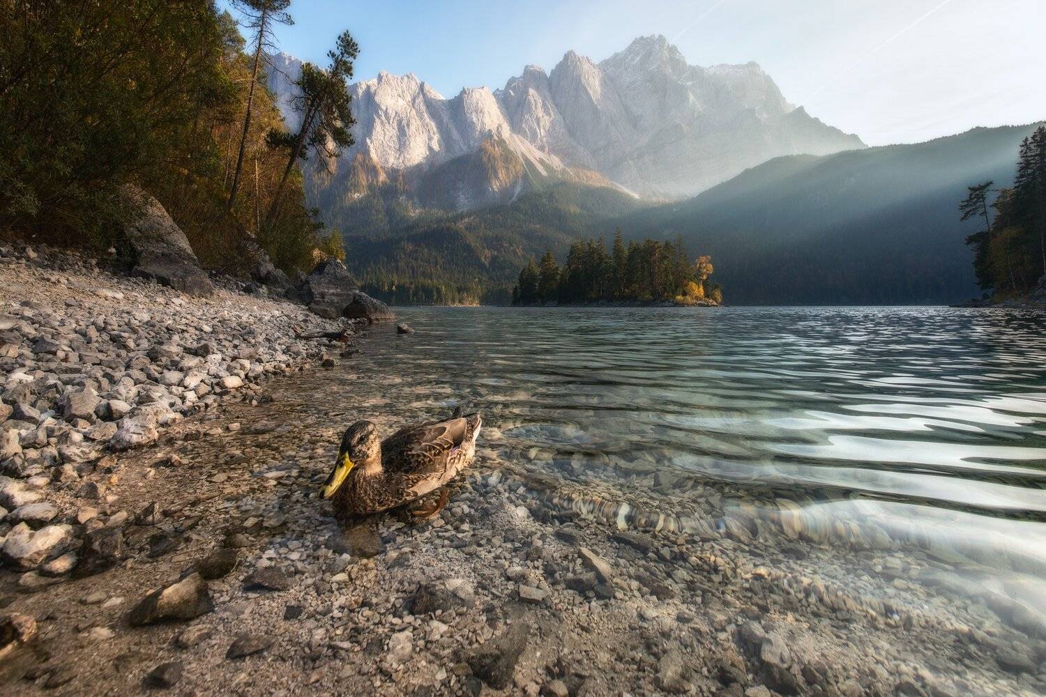 , Михаил Туркеев