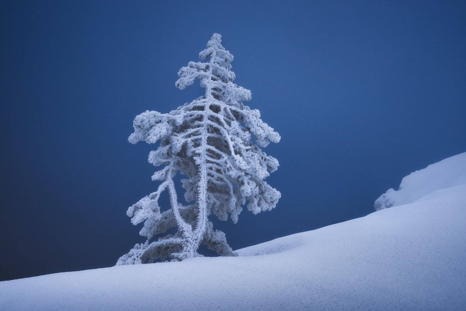 крым, зима, зима в крыму, зимний крым, весна в крыму, весенний крым, ай-петри, зима в горах, туризм, путешествия, фототур, фототур в крым, тур по крыму, Лузанов Вячеслав