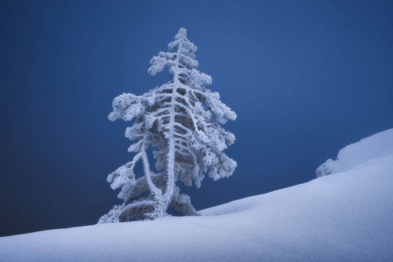 крым, зима, зима в крыму, зимний крым, весна в крыму, весенний крым, ай-петри, зима в горах, туризм, путешествия, фототур, фототур в крым, тур по крыму Зачарованная зимой фото превью